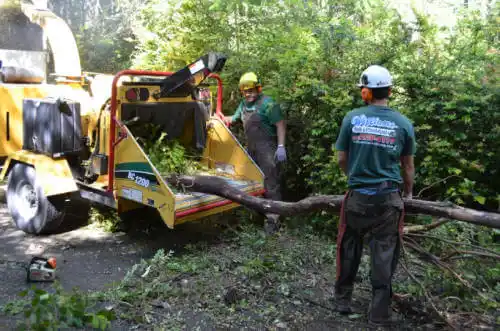 tree services Corydon